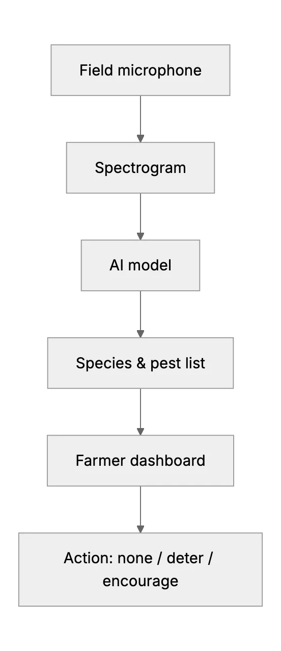 AI Audio Pest Detection: Simple Guide for Small Farms