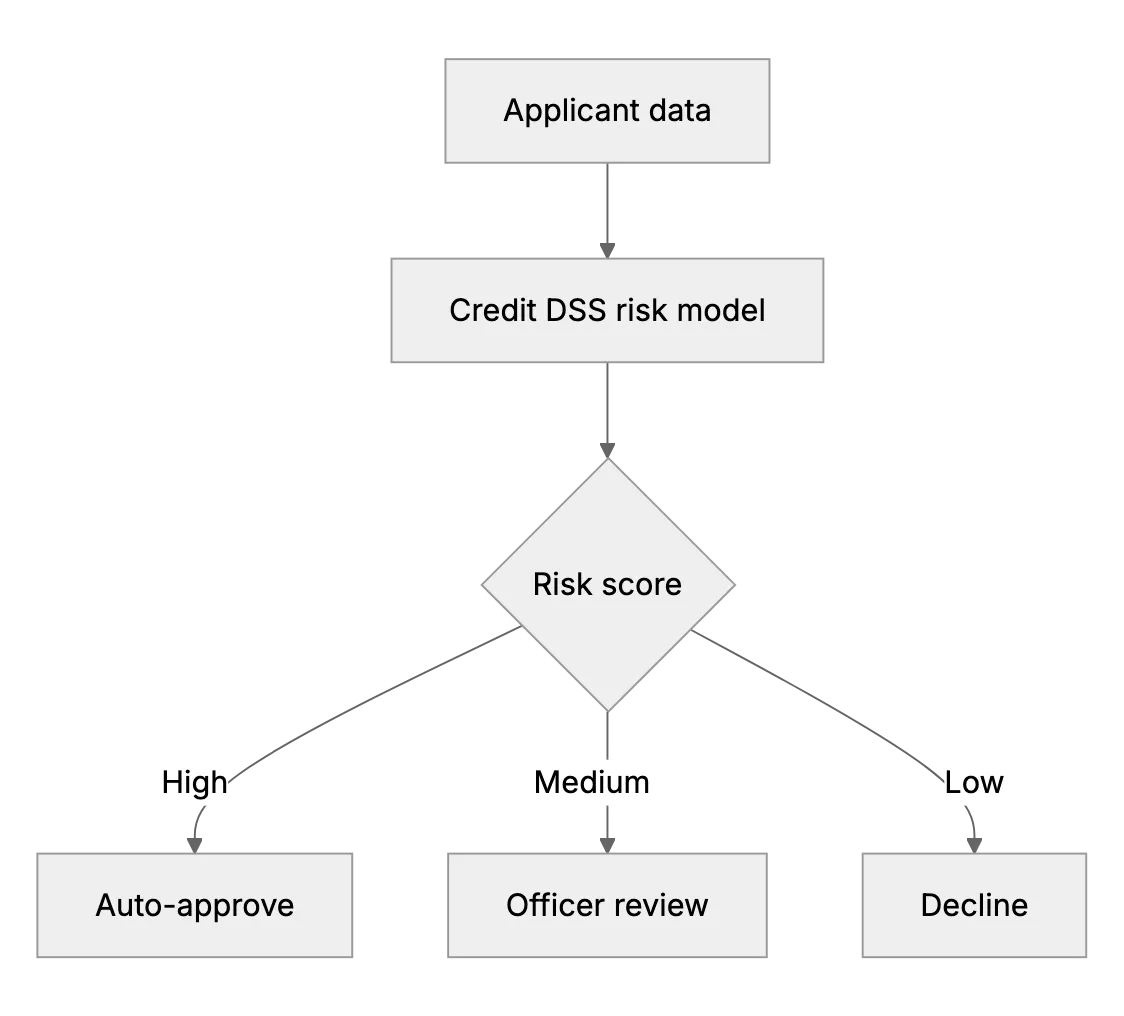 Decision Support Systems in Finance. From Investment to Risk Management