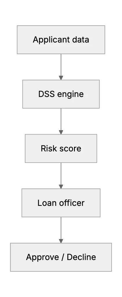 Decision Support Systems in Finance: From Investment to Risk Management