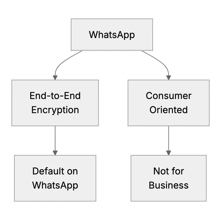 WhatsApp Messenger and Its Safety