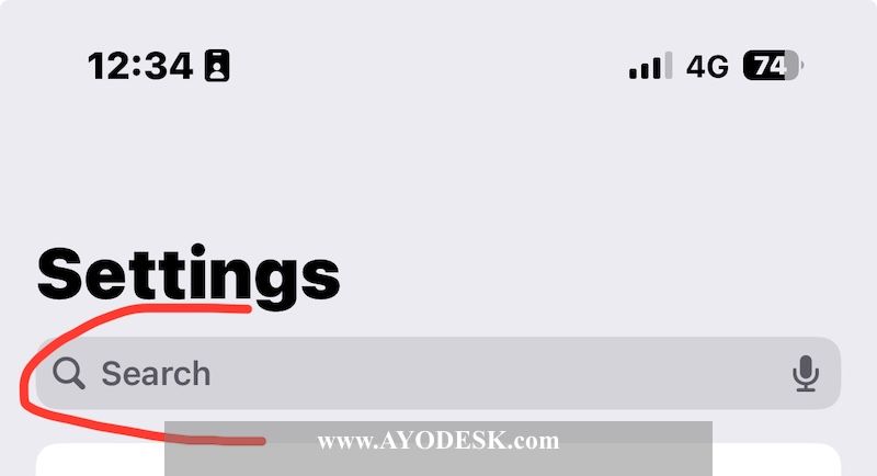 Settings window on iPhone and press into its search bar on the top of all settings